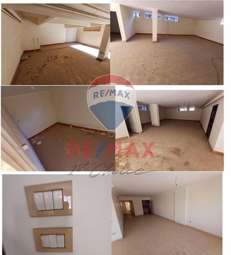 11 fecace17-dd59-4bf3-97f3-24bed0c428f6. jpg