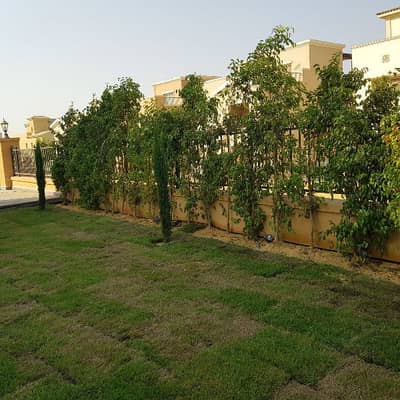 5 Bedroom Villa for Rent in New Cairo, Cairo - فيلا للايجار في ميفيدا