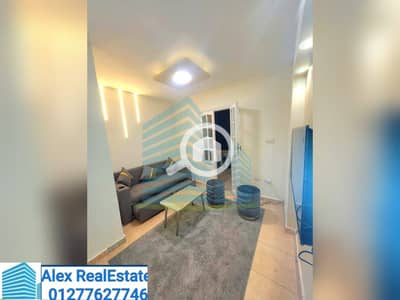 شقة 2 غرفة نوم للايجار في الإبراهيمية، الإسكندرية - WhatsApp Image 2025-07-31 at 9.25. 00 AM. jpeg