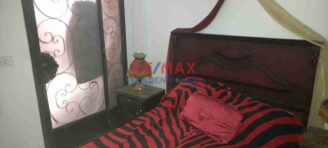 2 Bedroom Flat for Rent in New Cairo, Cairo - 1001805247. jpg