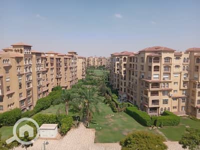 3 Bedroom Flat for Rent in Madinaty, Cairo - b696462d-d843-4e35-a568-fef42c05be8d. jpg