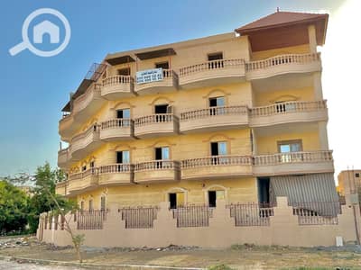 3 Bedroom Apartment for Sale in Shorouk City, Cairo - WhatsApp Image 2025-07-30 at 13.17. 25_b5fa192e. jpg