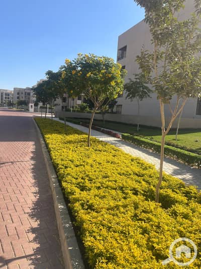 بنتهاوس 3 غرف نوم للبيع في القاهرة الجديدة، القاهرة - WhatsApp Image 2025-07-30 at 4.07. 47 PM (4). jpeg