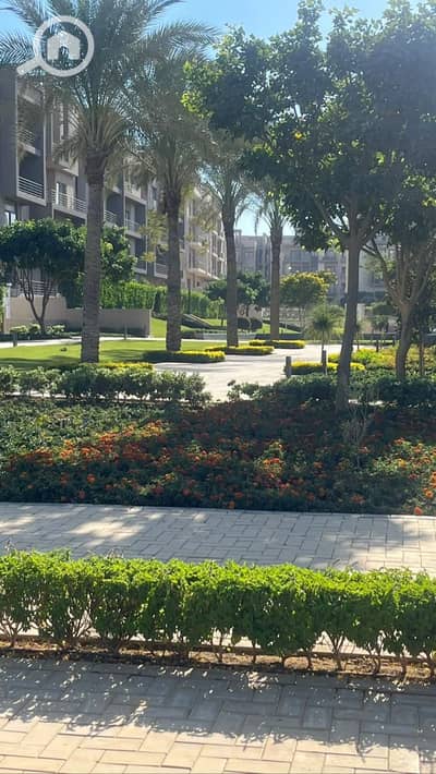 3 Bedroom Flat for Sale in New Cairo, Cairo - WhatsApp Image 2025-07-30 at 4.01. 27 PM. jpeg