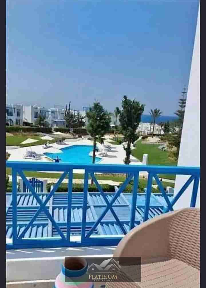 11 1000115553. jpg