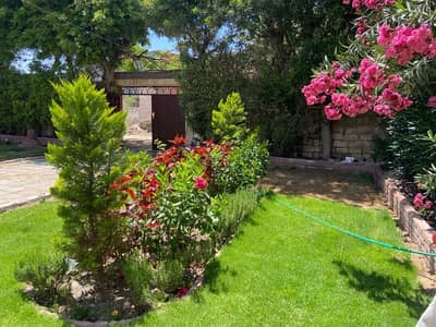 3 Bedroom Villa for Sale in Agami, Alexandria - فيلا بالعجمى Villa between Hanouville and Abou Yousef, Agamy