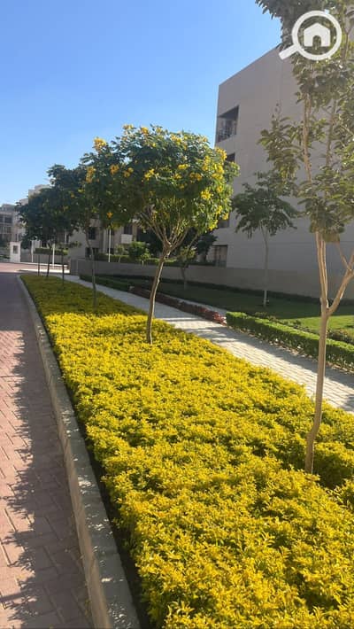 3 Bedroom Penthouse for Sale in New Cairo, Cairo - WhatsApp Image 2025-07-09 at 1.57. 19 PM (1). jpeg