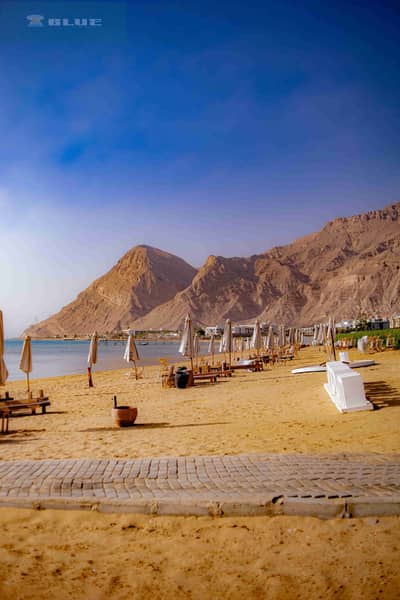 2 Bedroom Chalet for Rent in Ain Sukhna, Suez - 1003360222. jpg