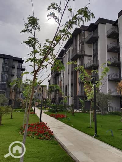 3 Bedroom Flat for Sale in Madinaty, Cairo - WhatsApp Image 2025-02-05 at 4.19. 55 PM (1). jpeg