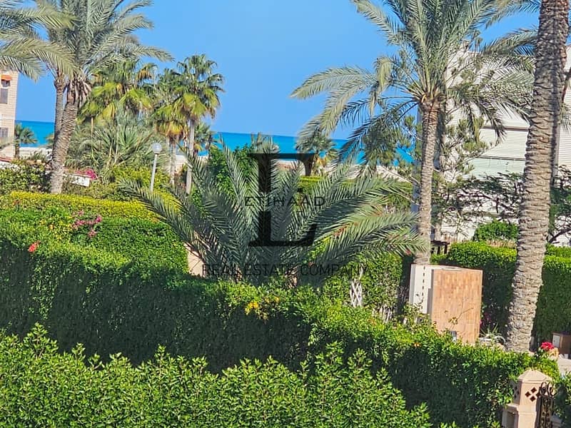 13 صورة واتساب بتاريخ 1447-02-05 في 23.31. 56_af8be3fd. jpg