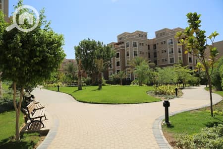 3 Bedroom Flat for Rent in New Cairo, Cairo - WhatsApp Image 2025-03-08 at 12.05. 44 PM (1). jpeg