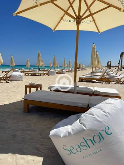1 Bedroom Chalet for Sale in North Coast, Matruh - WhatsApp Image 2025-08-03 at 4.19. 24 PM. jpeg