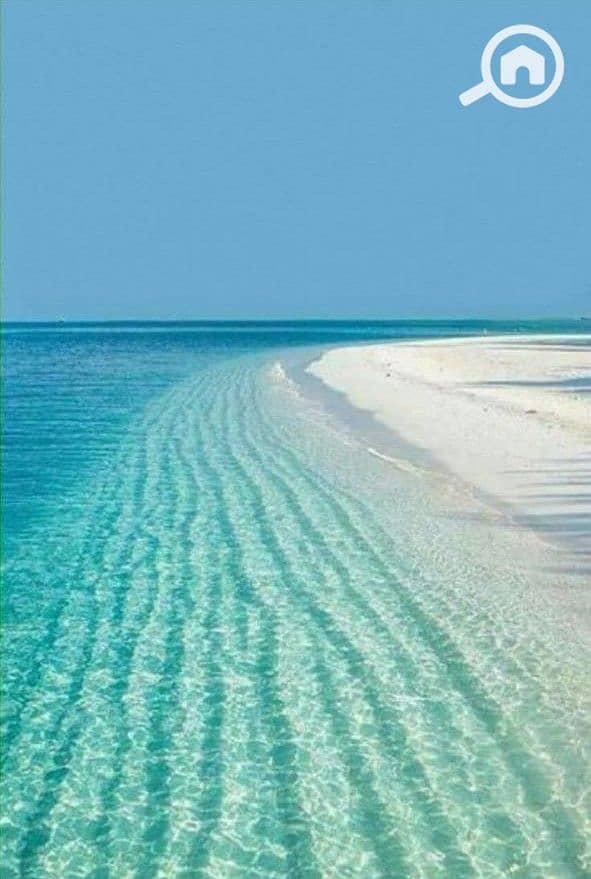 3 WhatsApp Image 2025-07-22 at 2.44. 10 PM. jpeg