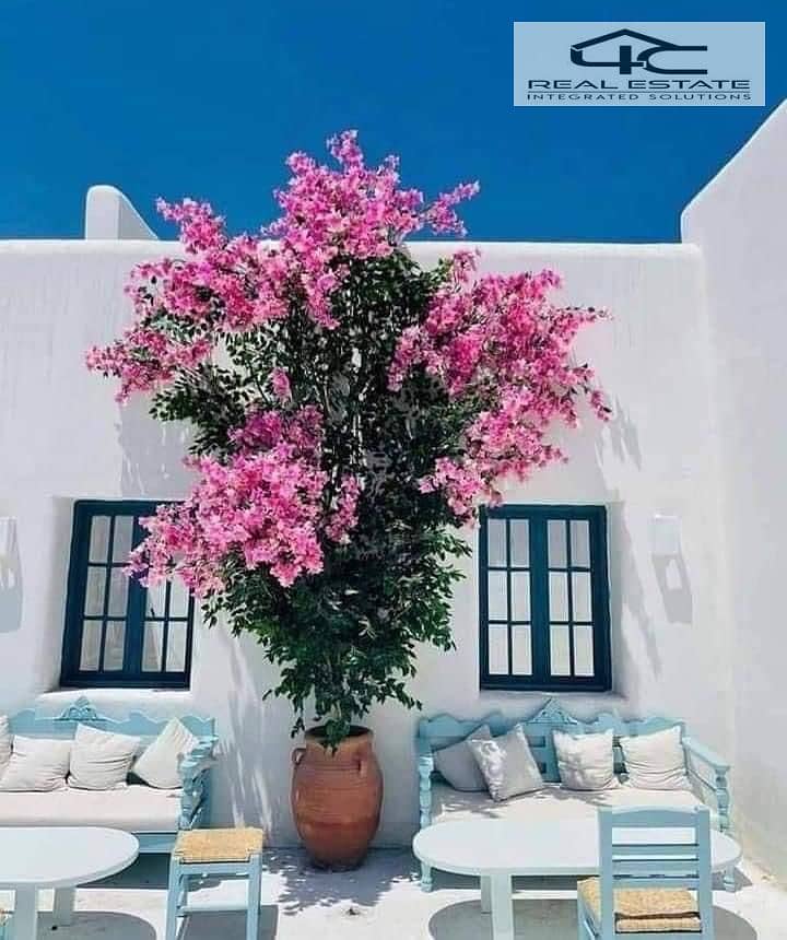 20 WhatsApp Image 2025-07-21 at 3.48. 33 PM (5). jpeg