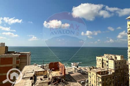 شقة 3 غرف نوم للايجار في كامب شيزار، الإسكندرية - 1. jpg