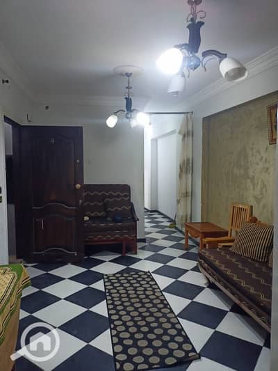 2 Bedroom Apartment for Rent in Mandara, Alexandria - WhatsApp Image 2023-06-03 at 4.19. 45 PM (1). jpeg