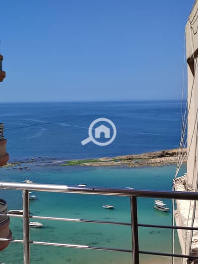 2 Bedroom Flat for Rent in Miami, Alexandria - WhatsApp Image 2023-06-03 at 1.52. 22 PM (2). jpeg