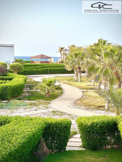 4 Bedroom Twin House for Sale in North Coast, Matruh - WhatsApp Image 2025-08-01 at 11.49. 12 AM. jpeg
