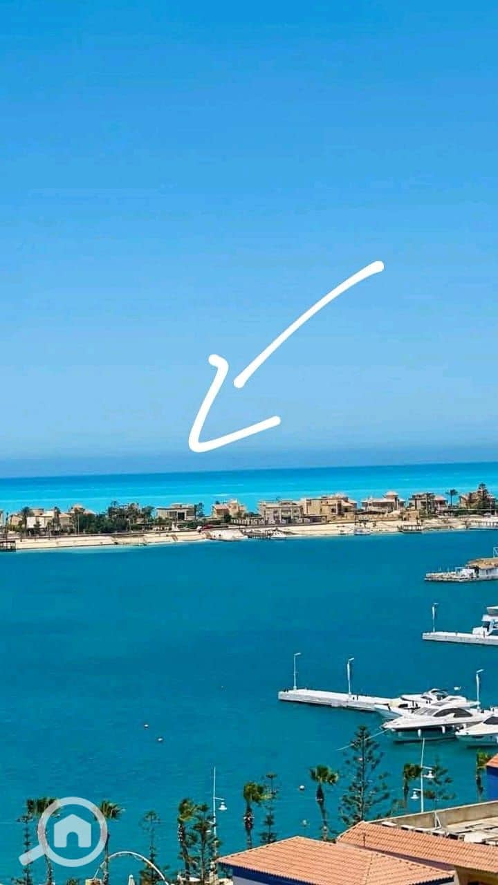 3 WhatsApp Image 2025-06-12 at 17.07. 19_526bbaf4. jpg