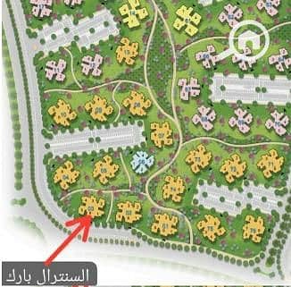 3 WhatsApp Image 2025-07-22 at 20.46. 57_31b5d9ab. jpg