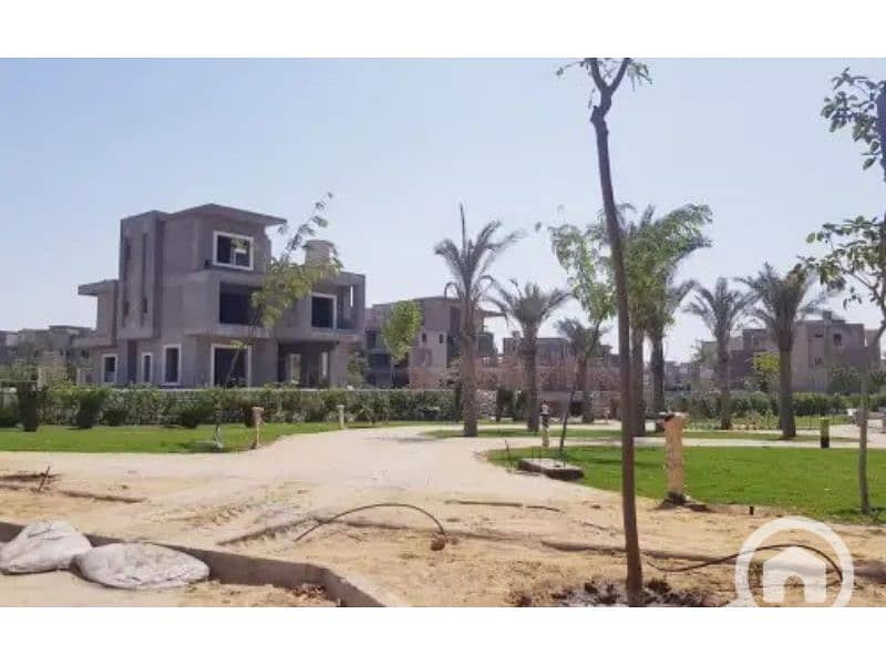 11 New Giza 11. jpg
