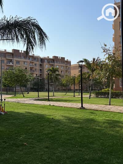 3 Bedroom Flat for Sale in Madinaty, Cairo - WhatsApp Image 2025-06-14 at 12.09. 27 PM. jpeg