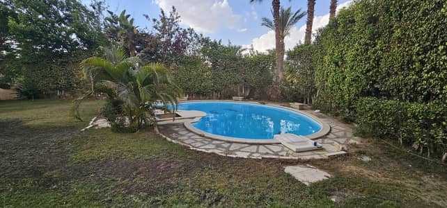 6 Bedroom Villa for Sale in New Cairo, Cairo - WhatsApp Image 2025-08-04 at 12.23. 31 PM (1). jpeg