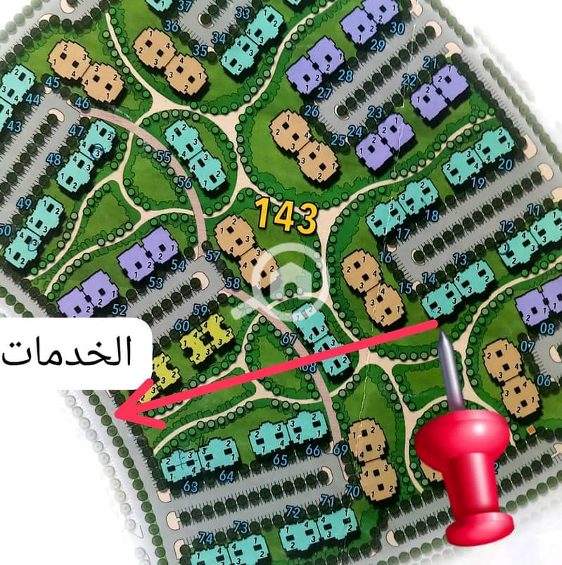 4 1000361584. jpg