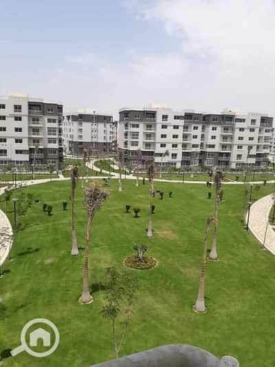 3 Bedroom Flat for Sale in Madinaty, Cairo - WhatsApp Image 2025-07-07 at 1.04. 36 PM (1). jpeg