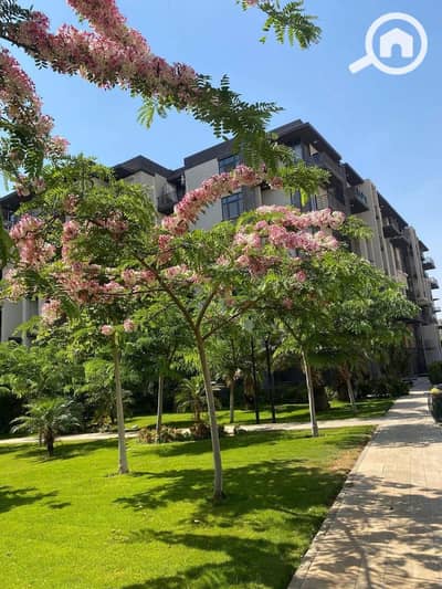 2 Bedroom Apartment for Sale in Madinaty, Cairo - WhatsApp Image 2025-07-13 at 18.20. 49_2e2771b4. jpg