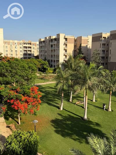 2 Bedroom Apartment for Sale in Madinaty, Cairo - bb1fb959-6417-4e09-aca5-402c7ace4a1b. jpeg