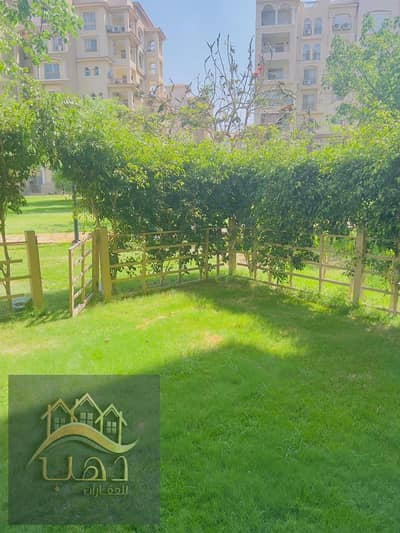 2 Bedroom Flat for Sale in Madinaty, Cairo - WhatsApp Image 2025-06-26 at 7.47. 12 PM (2). jpeg