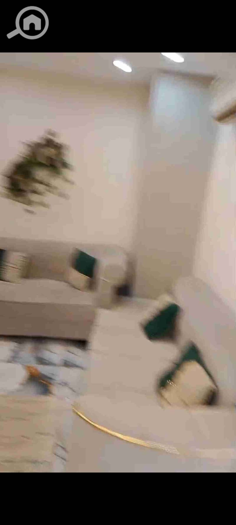 2 1000730476. jpg