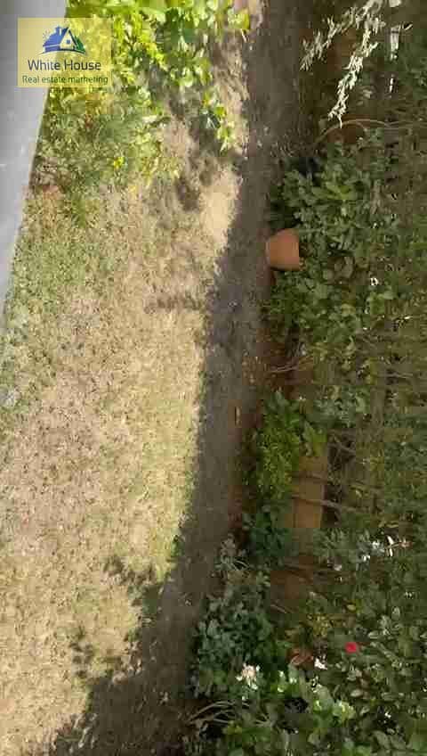 3 VideoCapture_20250714-190713. jpg