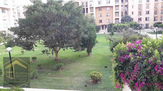 3 Bedroom Apartment for Rent in New Cairo, Cairo - 1000428853. jpg