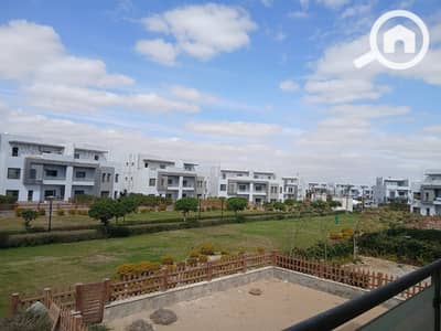 4 Bedroom Villa for Rent in Shorouk City, Cairo - WhatsApp Image 2025-02-23 at 12.54. 34_0dbd506c. jpg