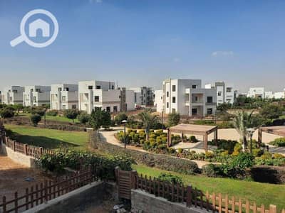 6 Bedroom Villa for Rent in Shorouk City, Cairo - WhatsApp Image 2024-11-20 at 13.50. 34_7a260d7b. jpg