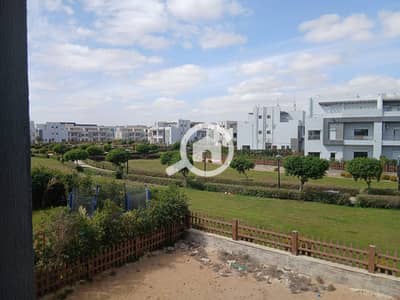 4 Bedroom Villa for Sale in Shorouk City, Cairo - WhatsApp Image 2025-02-23 at 12.54. 33_9102e950. jpg