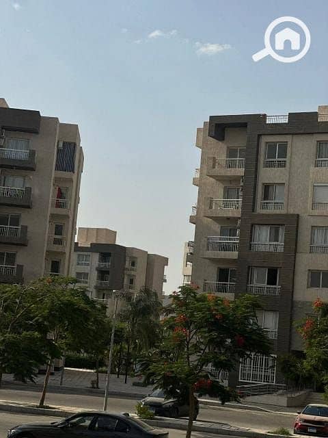 WhatsApp Image 2025-07-09 at 13.47. 06_7df3639a. jpg