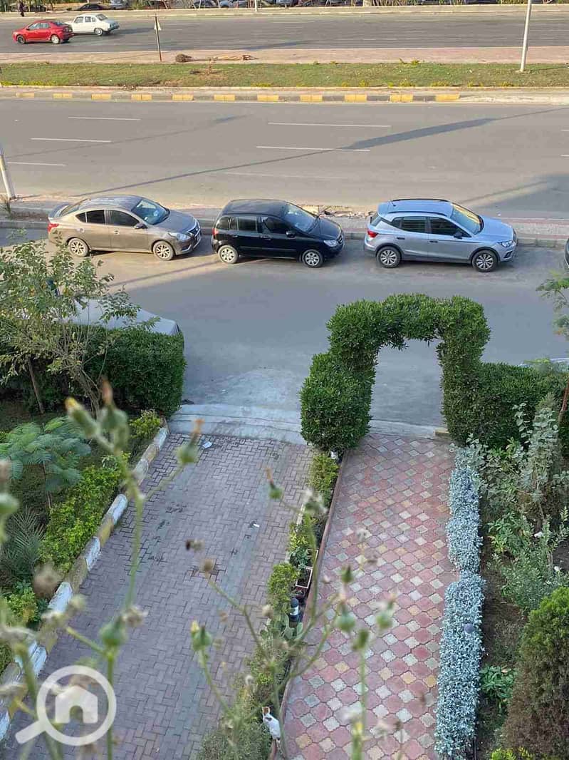 14 1000077961. jpg