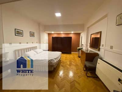 1 Bedroom Apartment for Rent in Dokki, Giza - IMG_5751. jpg