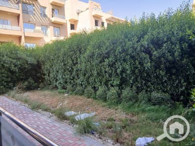 دوبلكس 4 غرف نوم للايجار في مدينة الشروق، القاهرة - WhatsApp Image 2025-07-06 at 12.49. 51_c95a8d2b. jpg
