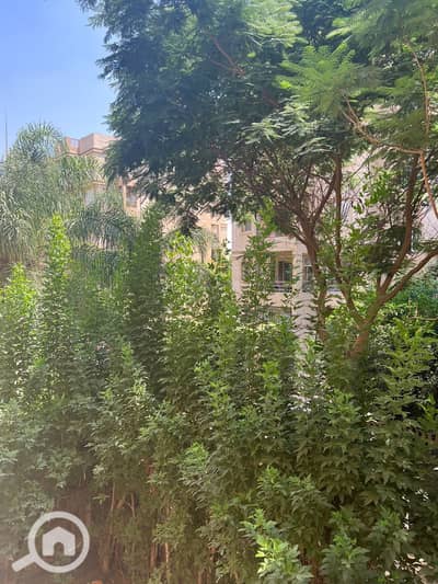 3 Bedroom Flat for Sale in Madinaty, Cairo - WhatsApp Image 2025-08-05 at 2.03. 58 PM (1). jpeg