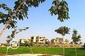 10 palmhillskatameya5. jpg