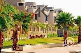 11 palmhillskatameya7. jpg
