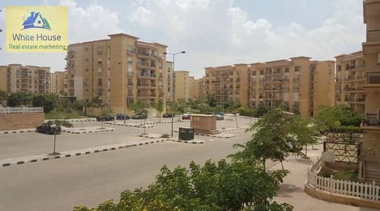 فلیٹ 2 غرفة نوم للايجار في القاهرة الجديدة، القاهرة - WhatsApp Image 2025-08-05 at 4.07. 59 PM. jpeg