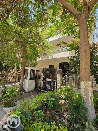 Commercial Building for Rent in Maadi, Cairo - WhatsApp Image 2025-07-24 at 4.11. 26 PM (3). jpeg