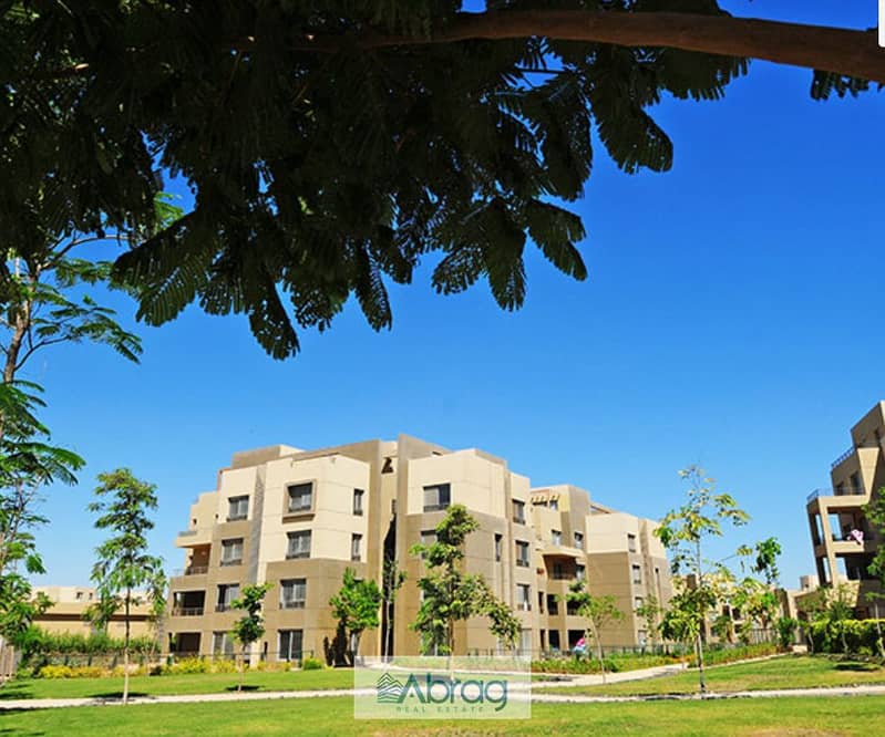 8 palm_par_5. PNG