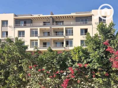 فلیٹ 3 غرف نوم للبيع في القاهرة الجديدة، القاهرة - 486031405_122250305906012060_6236282816607430660_n. jpg