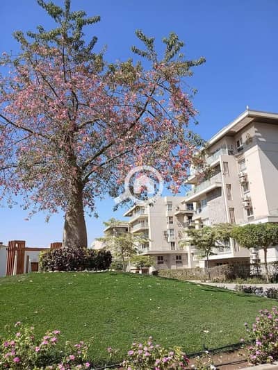 فلیٹ 3 غرف نوم للبيع في القاهرة الجديدة، القاهرة - WhatsApp Image 2025-07-16 at 11.03. 26 AM. jpeg